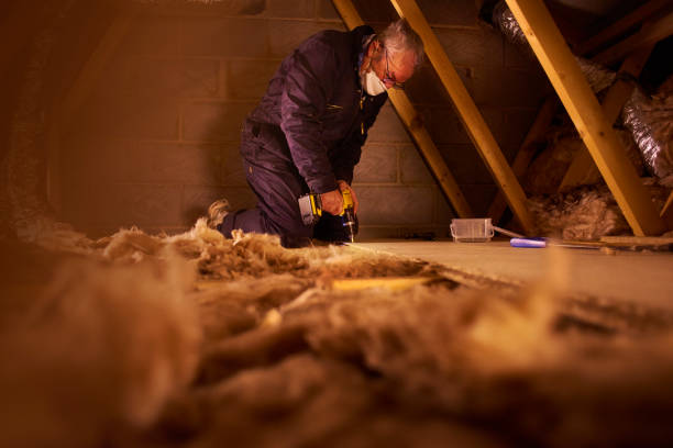 Best Residential Insulation in Cary, IL